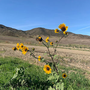 Meet your Posher, Penelope